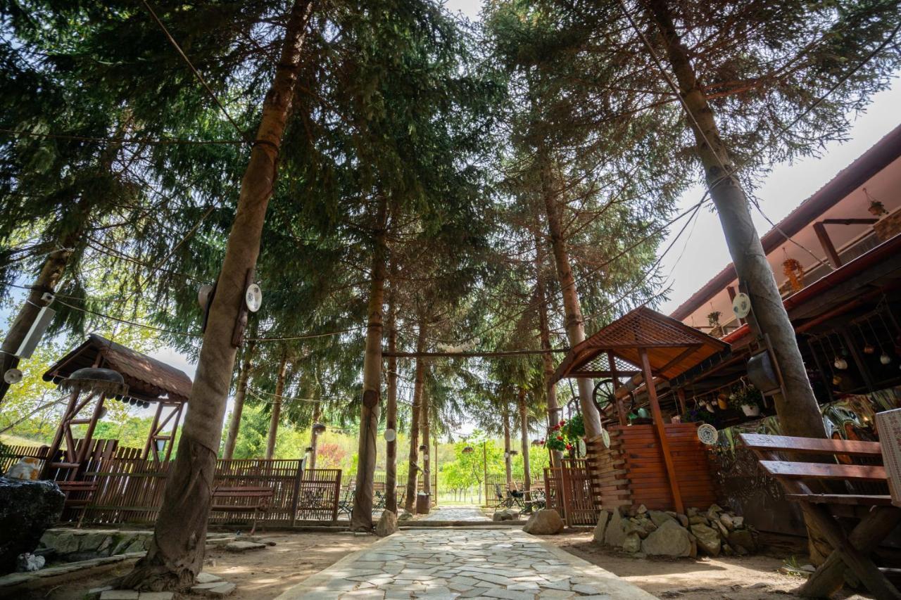 La Padure 호텔 Brebu 외부 사진